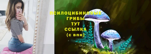 соль курить ск Горняк