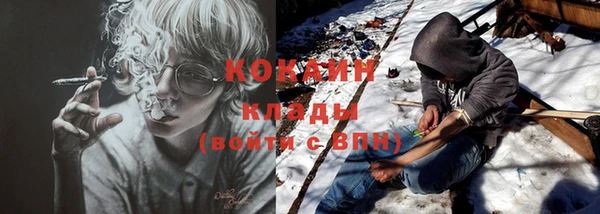 не бодяженный Гусев