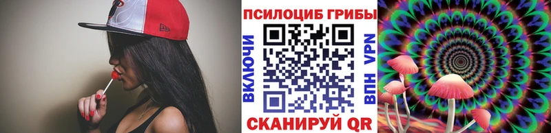 Купить где  Ливны  Псилоцибиновые грибы MAGIC MUSHROOMS 